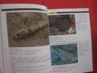 ダイビングポイントマップ  　沖縄   　 ―　 危険生物編　 ―              【沖縄・琉球・自然・海洋・アウトドア・マリンスポーツ】