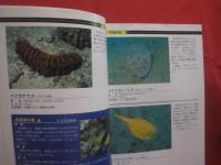 ダイビングポイントマップ  　沖縄   　 ―　 危険生物編　 ―              【沖縄・琉球・自然・海洋・アウトドア・マリンスポーツ】