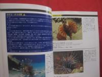 ダイビングポイントマップ  　沖縄   　 ―　 危険生物編　 ―              【沖縄・琉球・自然・海洋・アウトドア・マリンスポーツ】