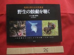 ☆琉球の聖なる自然遺産  　　 野生の鼓動を聴く   　　この宝物をどう守り、どう引き継いでゆくのか    　　山城 博明　  著    　　      【沖縄・琉球・歴史・文化・自然・生物・動物・写真集】