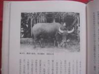 家畜百話　　  渡嘉敷綏宝　（　琉球大学名誉教授　）　 著　　     　   【沖縄・琉球・歴史・文化・牛・馬・山羊・豚・犬・猫・兎】