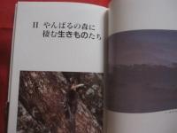 沖縄  やんばる ・ 亜熱帯の森    ― この世界の宝をこわすな   　     【沖縄・琉球・自然・生物・環境・写真本】