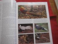 ＷＩＬＤ　  ＣＨＩＮＡ   　Ｔｅｘｔ 　ｂｙ 　ＪＯＨＮ　 ＭａｃＫＩＮＮＯＮ 　　 Ｐｈｏｔｏｇｒａｐｈｓ　 ｂｙ　 ＮＩＧＥＬ 　ＨＩＣＫＳ   　　　　   【洋書・写真本・自然・生物】