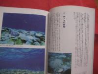 サンゴ礁は異常事態  　　― 　保全のキーワードはバランス　 ―     　　　  【沖縄・琉球・自然・生物・環境】