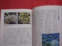 サンゴ礁は異常事態  　　― 　保全のキーワードはバランス　 ―     　　　  【沖縄・琉球・自然・生物・環境】