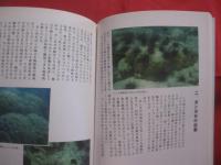 サンゴ礁は異常事態  　　― 　保全のキーワードはバランス　 ―     　　　  【沖縄・琉球・自然・生物・環境】