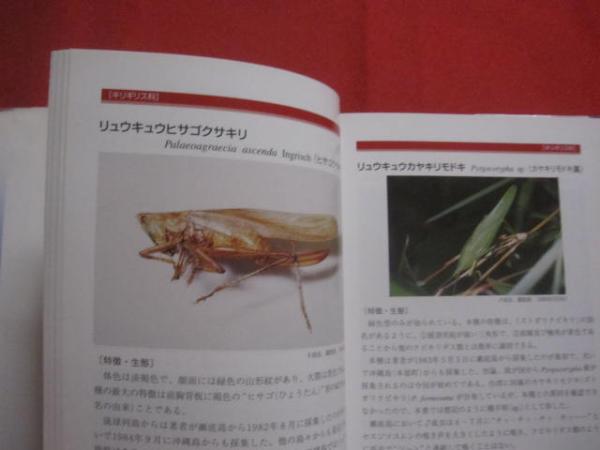 新訂版 琉球列島の鳴く虫たち ［ 琉球列島の昆虫シリーズ 3 ］ 【沖縄