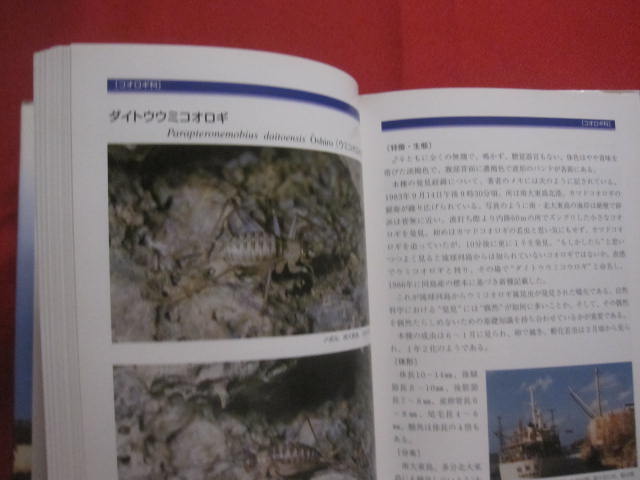 琉球列島の蚊の自然史 | 宮城 一郎, 當間 孝子 |本 | 通販 | Amazon