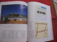 図説　 沖縄の城　 （　 ぐすく　 ）  　　よみがえる中世の琉球   　　定価  １２，０００円  　　　　    【沖縄・琉球・歴史・文化】