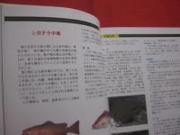 ☆ダイビングポイントマップ  　沖縄  　 　 ―　 危険生物編　 ―    　          【沖縄・琉球・自然・海洋・アウトドア・マリンスポーツ】