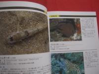☆ダイビングポイントマップ  　沖縄  　 　 ―　 危険生物編　 ―    　          【沖縄・琉球・自然・海洋・アウトドア・マリンスポーツ】