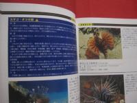 ☆ダイビングポイントマップ  　沖縄  　 　 ―　 危険生物編　 ―    　          【沖縄・琉球・自然・海洋・アウトドア・マリンスポーツ】