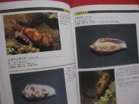 ☆ダイビングポイントマップ  　沖縄  　 　 ―　 危険生物編　 ―    　          【沖縄・琉球・自然・海洋・アウトドア・マリンスポーツ】