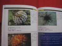 ☆ダイビングポイントマップ  　沖縄  　 　 ―　 危険生物編　 ―    　          【沖縄・琉球・自然・海洋・アウトドア・マリンスポーツ】