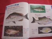 ぎょ！ ぎょ！  　釣り図鑑  　　  ３７３種    　　  フィッシング沖縄社 　 発行  　　　　       【沖縄・琉球・趣味・海洋レジャー・アウトドア】