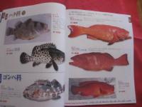 ぎょ！ ぎょ！  　釣り図鑑  　　  ３７３種    　　  フィッシング沖縄社 　 発行  　　　　       【沖縄・琉球・趣味・海洋レジャー・アウトドア】
