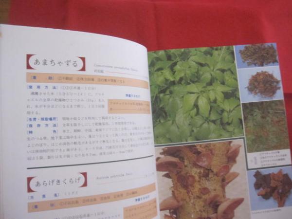 誰にでもできる薬草の利用法 沖縄の薬草百科 やさしい煎じ方と飲み方