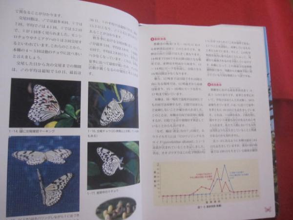 琉球列島産昆虫目録 増補改訂版 (並製) (沖縄県産生物目録