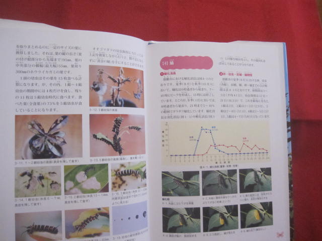 琉球列島産昆虫目録 増補改訂版 (並製) (沖縄県産生物目録