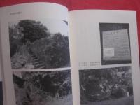 沖縄の空手  　　その基本形の時代    　　　津波 高志 　著    　　     【沖縄・琉球・歴史・伝統・文化・格闘技・空手・唐手・ＫＡＲＡＴＥ】