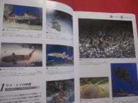 海水魚飼育図鑑　　    ＭＡＲＩＮＥ  ＡＱＵＡＲＩＵＭ 　　 ＦＩＳＨＥＳ 　　 ＯＦ 　　 ＴＨＥ　　  ＷＯＲＬＤ   　　　　　　　  【観賞魚・趣味】