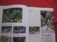海水魚飼育図鑑　　    ＭＡＲＩＮＥ  ＡＱＵＡＲＩＵＭ 　　 ＦＩＳＨＥＳ 　　 ＯＦ 　　 ＴＨＥ　　  ＷＯＲＬＤ   　　　　　　　  【観賞魚・趣味】