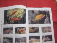 海水魚飼育図鑑　　    ＭＡＲＩＮＥ  ＡＱＵＡＲＩＵＭ 　　 ＦＩＳＨＥＳ 　　 ＯＦ 　　 ＴＨＥ　　  ＷＯＲＬＤ   　　　　　　　  【観賞魚・趣味】
