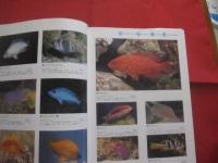 海水魚飼育図鑑　　    ＭＡＲＩＮＥ  ＡＱＵＡＲＩＵＭ 　　 ＦＩＳＨＥＳ 　　 ＯＦ 　　 ＴＨＥ　　  ＷＯＲＬＤ   　　　　　　　  【観賞魚・趣味】