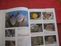 海水魚飼育図鑑　　    ＭＡＲＩＮＥ  ＡＱＵＡＲＩＵＭ 　　 ＦＩＳＨＥＳ 　　 ＯＦ 　　 ＴＨＥ　　  ＷＯＲＬＤ   　　　　　　　  【観賞魚・趣味】