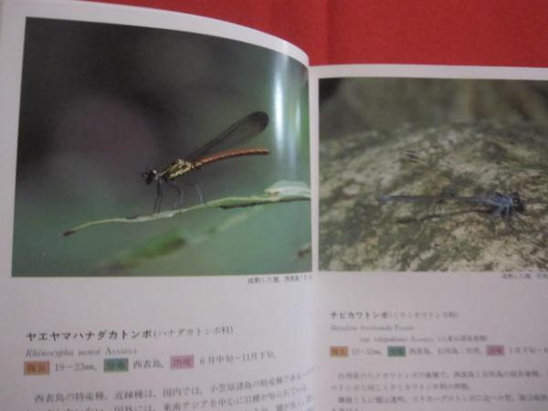 【希望者のみラッピング無料】 沖縄昆虫野外観察図鑑 趣味 - 昆虫 - 2巻・3巻・4巻の三冊 昆虫