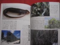 沖縄県立博物館   　　 総合案内 　　　　      【沖縄・琉球・歴史・文化】
