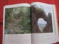 ここが知りたい沖縄文化財    　　比嘉 朝進 　著        　　　　   【沖縄・琉球・歴史・文化・遺跡・城跡・建造物・美術・工芸・自然・生物】