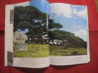ここが知りたい沖縄文化財    　　比嘉 朝進 　著        　　　　   【沖縄・琉球・歴史・文化・遺跡・城跡・建造物・美術・工芸・自然・生物】