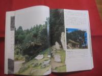 ここが知りたい沖縄文化財    　　比嘉 朝進 　著        　　　　   【沖縄・琉球・歴史・文化・遺跡・城跡・建造物・美術・工芸・自然・生物】