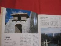 国・県指定  　沖縄の文化財 　  《 沖縄本島編 》             【沖縄・琉球・歴史・文化・遺跡・城跡・建造物・美術・工芸・自然】