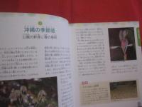 おきなわ自然さんぽ    　　　　琉球新報社 　発行     　　　　  【沖縄・琉球・生物・動物・昆虫・植物】