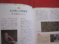 おきなわ自然さんぽ    　　　　琉球新報社 　発行     　　　　  【沖縄・琉球・生物・動物・昆虫・植物】