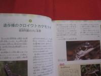 おきなわ自然さんぽ    　　　　琉球新報社 　発行     　　　　  【沖縄・琉球・生物・動物・昆虫・植物】