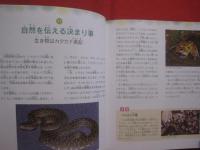 おきなわ自然さんぽ    　　　　琉球新報社 　発行     　　　　  【沖縄・琉球・生物・動物・昆虫・植物】