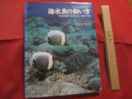 もっともくわしい  　海水魚の飼い方  　　Ｈａｎｄｂｏｏｋ  　ｏｆ  　Ｍａｒｉｎｅ 　 Ａｑｕａｒｉｕｍ   　　　　    【観賞魚・趣味】