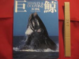 巨鯨  　　ＷＨＡＬＥＳ　 ＆ 　ＤＯＬＰＨＩＮＳ 　　   水口 博也　 著　　　　     【写真集・自然・風景・動物・海洋生物・クジラ・イルカ】
