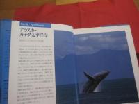 巨鯨  　　ＷＨＡＬＥＳ　 ＆ 　ＤＯＬＰＨＩＮＳ 　　   水口 博也　 著　　　　     【写真集・自然・風景・動物・海洋生物・クジラ・イルカ】