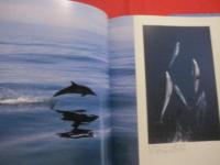 巨鯨  　　ＷＨＡＬＥＳ　 ＆ 　ＤＯＬＰＨＩＮＳ 　　   水口 博也　 著　　　　     【写真集・自然・風景・動物・海洋生物・クジラ・イルカ】