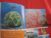 沖縄スノーケリングガイド  　　 初心者でも楽しめる厳選50のポイント!  　　ケラマ  　沖縄本島 　 宮古  　八重山  　　るるぶＤｏ!  　　　　   【沖縄・琉球・趣味・海洋レジャー・マリンスポーツ・アウトドア】