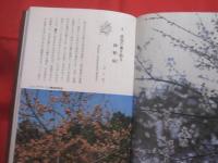 ★カラー 　 沖縄の植物　  　　  城間　朝教　　著   　　 　新星図書　　発行 　　　　       【沖縄・琉球・自然・生物】