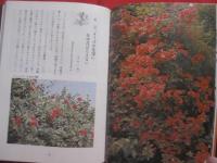 カラー  　沖縄の植物 　   城間　朝教　著  　  新星図書　発行   　　　　     【沖縄・琉球・自然・生物】