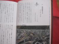 カラー  　沖縄の植物 　   城間　朝教　著  　  新星図書　発行   　　　　     【沖縄・琉球・自然・生物】