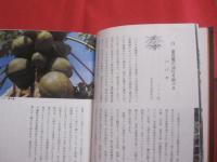 カラー  　沖縄の植物 　   城間　朝教　著  　  新星図書　発行   　　　　     【沖縄・琉球・自然・生物】