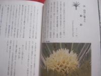 カラー  　沖縄の植物 　   城間　朝教　著  　  新星図書　発行   　　　　     【沖縄・琉球・自然・生物】