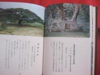 カラー  　沖縄の植物 　   城間　朝教　著  　  新星図書　発行   　　　　     【沖縄・琉球・自然・生物】